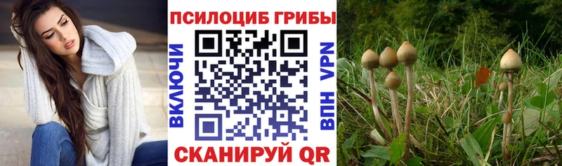 Купить  Волжск  Псилоцибиновые грибы ЛСД 